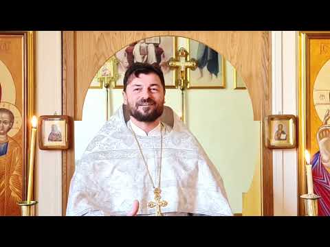 Видео: Зрячие слепые и любимые