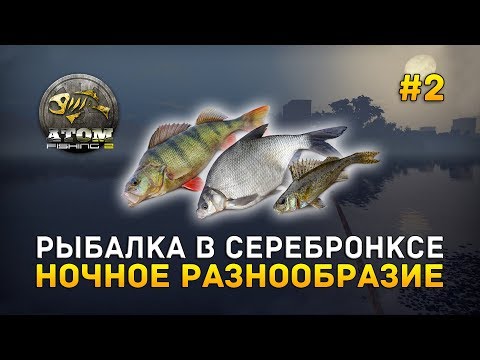 Видео: Рыбалка в Серебронксе. Ночное разнообразие - Atom Fishing II #2