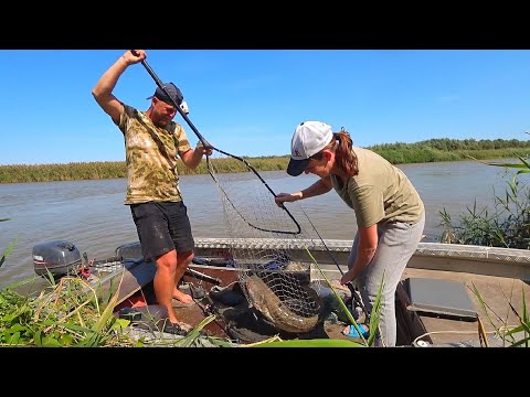 Видео: ВОТ ЭТО РЫБАЛКА! ЖОР СОМА НА САРАНЧУ. На рыбалку с женой. Закидушки на сазана.