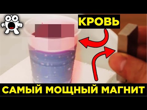 Видео: Удивительные Трюки с Магнитами