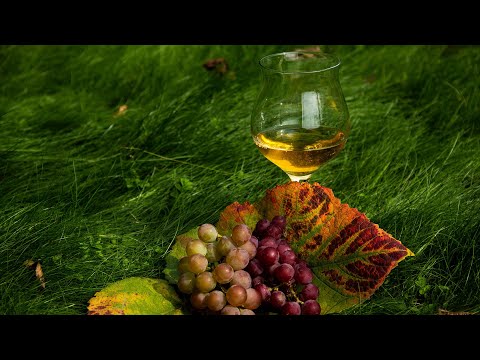 Видео: Никогда НЕ ДОБАВЛЯЙТЕ сахар в вино ПО РЕЦЕПТУ  пока не узнаете ЭТО