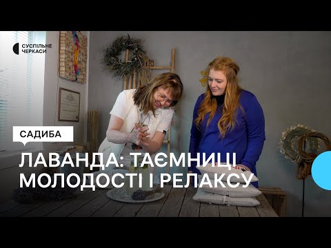 Видео: Від саджанця – до лавандового поля