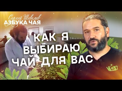 Видео: Азбука Чая. Как я выбираю чай?