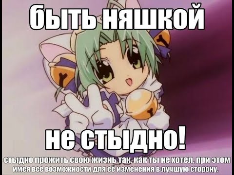 Видео: Трешка мистом под бибиноса