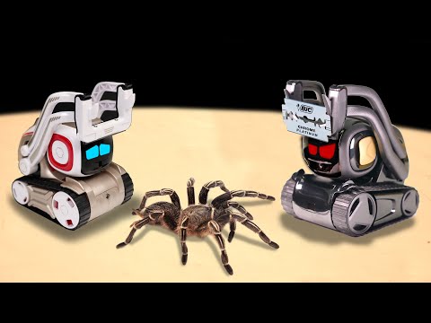 Видео: ЧТО ЕСЛИ РОБОТ ANKI COZMO И ANKI VECTOR УВИДЯТ ОГРОМНОГО ПАУКА? ДВА ИСКУССТВЕННЫХ ИНТЕЛЛЕКТА VS ПАУК