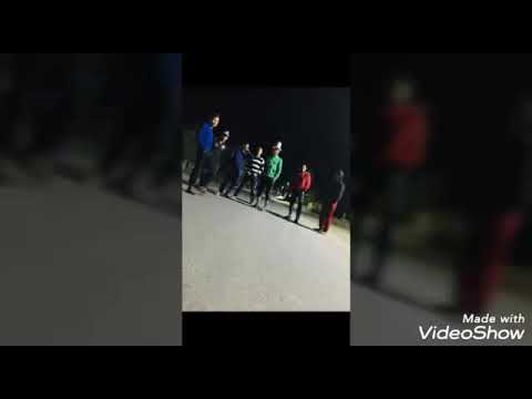 Видео: Алашан 2003-жылкылар