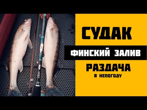 Видео: November -Судак Финский залив  РАЗДАЧА В НЕПОГОДУ !