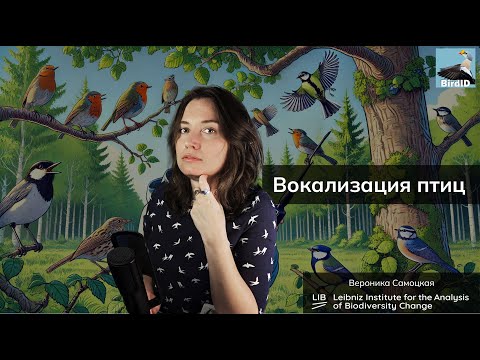 Видео: Зачем поют птицы? Рассказывает орнитолог Вероника Самоцкая