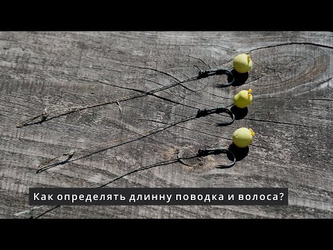 Видео: О длинне поводка и волоса