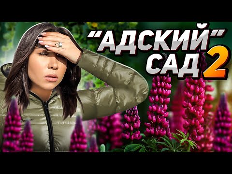 Видео: 5 РАСТЕНИЙ-АГРЕССОРОВ: вы ПОЖАЛЕТЕ, если посадите их на участке!