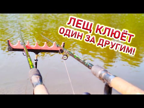 Видео: ЛЕЩ КЛЮËТ!РЫБАЛКА НА ФИДЕР! ЛОВЛЯ ЛЕЩА на фидер и на флэт!