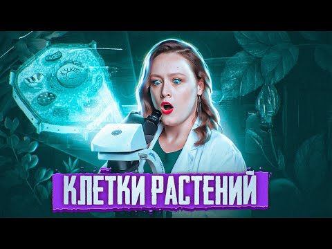 Видео: КЛЕТКА РАСТЕНИЯ | Клеточная стенка, вакуоль и пластиды | ЕГЭ-2025 по биологии