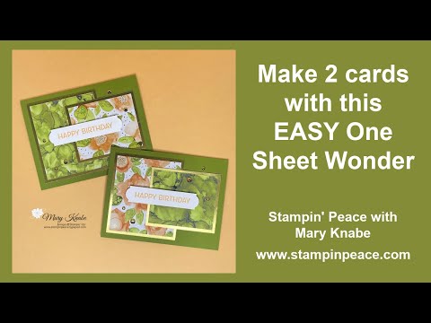 Видео: Один лист "Чудо с выражениями чернилами" размером 6 x 6 дюймов, DSP