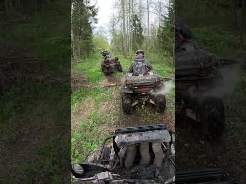 Видео: Заднеприводный литр, нужен ли он вообще. 1 часть #ямахагризли#yamaha#mud#квадрожизнь#aodes