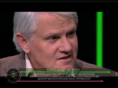 Видео: Трансовые состояния. Мозговой штурм.