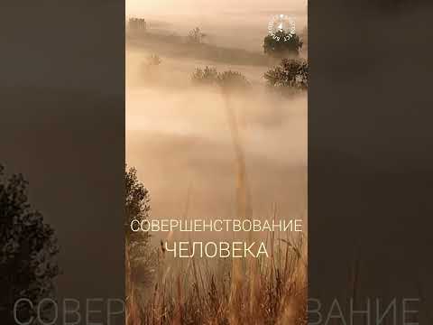 Видео: #БлагоВест ✴ СОВЕРШЕНСТВОВАНИЕ ЧЕЛОВЕКА