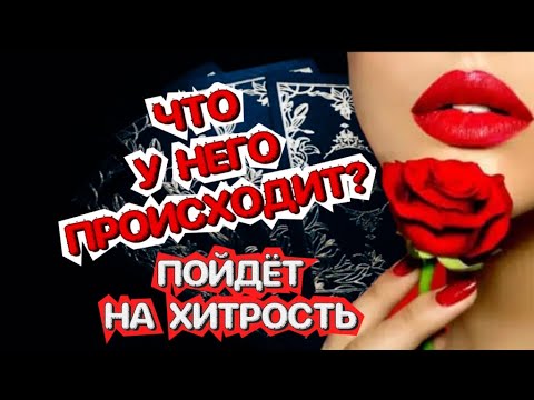 Видео: 👀Что у Него происходит? 