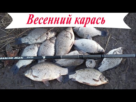 Видео: Весенний КРУПНЫЙ КАРАСЬ в марте! Рыбалка на удочку
