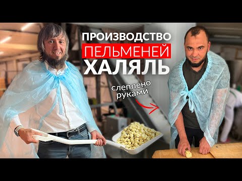 Видео: Производство пельменей Халяль / Из чего состоят Пельмени и Манты?