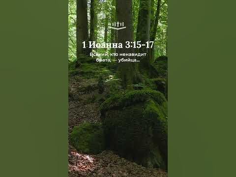 Видео: 1 Иоанна 3:15-17 современный перевод Библии #shorts