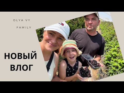 Видео: Собираем ягоды🫐Новый Азиатский Супермаркет в Хайфе #vlog влог#израиль2025#olyavyFamily