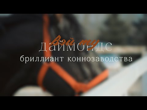 Видео: PRO_Лошадей. Вэй Ту Даймондс