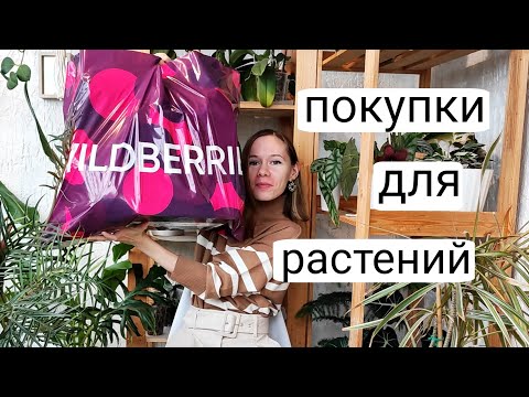 Видео: РАСПАКОВКА товаров для растений с WILDBERRIES