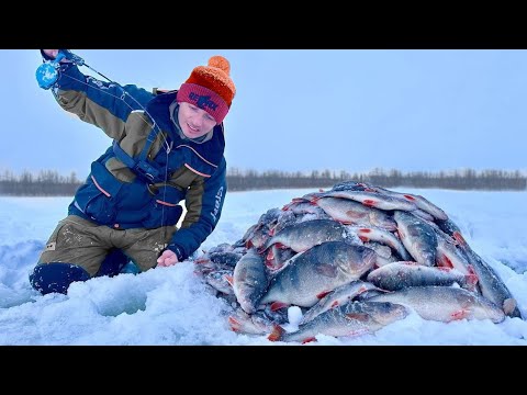 Видео: НАЛОВИЛ РЫБЫ, АЖ ПЛОХО СТАЛО! ПЕРВЫЙ ЛЁД 2024, ЯКУТИЯ