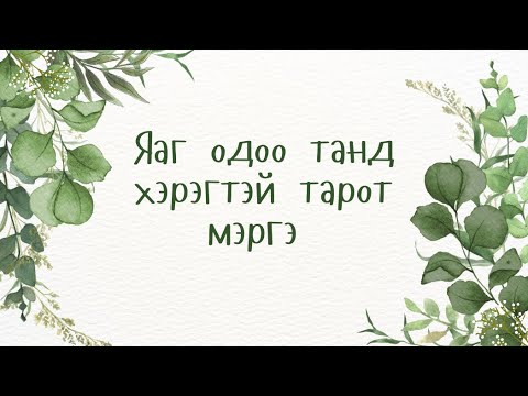 Видео: 🍄Яг одоо танд юу хэрэгтэй байна вэ ? 🌈 {Тарот}