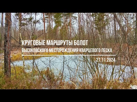 Видео: Круговые маршруты болот Высоковского месторождения кварцевого песка (27.11.2024)