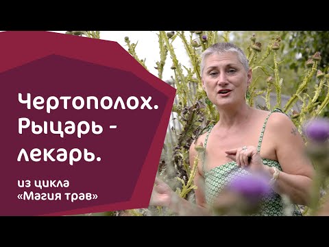 Видео: ЧЕРТОПОЛОХ-РАСТОРОПША. Рыцарь-лекарь.