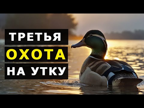 Видео: Третья ОХОТА на УТКУ 2024 с ПНЕВМАТИЧЕСКОЙ ВИНТОВКОЙ 4.5мм Хатсан