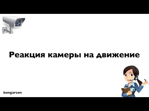 Видео: Настройка реакции камеры на движение