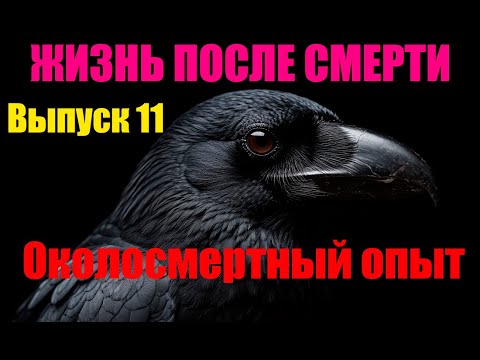 Видео: Жизнь после Смерти. Выпуск 11: "Зачем меня вернули с того света? Почему не позволили умереть?"