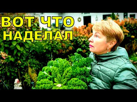 Видео: Приехала и обалдела, прям расстроилась. Такого не ожидали. Кому то попало, а зря ругалась.