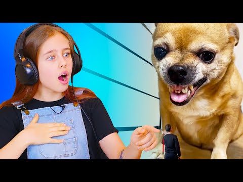 Видео: Смешные видео с животными 😂😂😂 Попробуй не засмеяться Челлендж