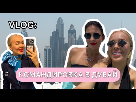 Видео: VLOG: будни стюардессы/командировка в Дубай у авиакомпании победа