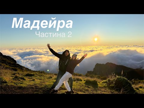 Видео: Мадейра: Дикая природа и городской колорит Фуншала | Часть 2