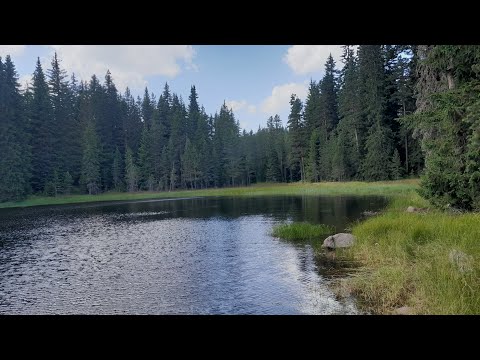 Видео: широка поляна къмпинг и риболов лято 2023