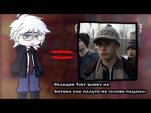 Видео: Реакция Tiny bunny на Антона как пальто из «слово пацана» (скорость: 1,25)