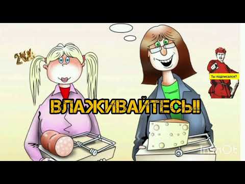 Видео: МАРИЙКА ПРЕДЛОЖИЛА ВЛАЖИВАТЬСЯ,НО ЖИЗНЬ ПЕРЕСТАЛА НАЛАЖИВАТЬСЯ.ПРИШЛОСЬ СЛИВАТЬСЯ,А КУДА ДЕВАТЬСЯ?