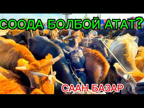 Видео: ОЗГОН СААН БАЗАР 05.10.2025#памиртв #horse #атбазар #rek #кыргызкызы #automobile 