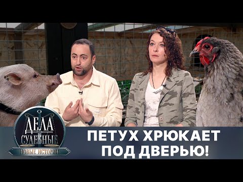 Видео: Дела судебные с Еленой Кутьиной. Новые истории. Эфир от 28.10.24