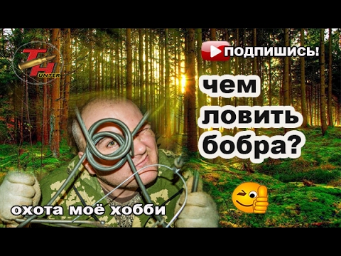 Видео: #ТРАППЕР: КП 320 (Кир) и КП 250(СУАС) сравнение. Разговор о капканах.
