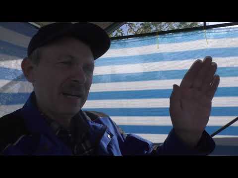 Видео: Виноград к-ш Світ  Селебрейшн  Топ 2025 року.