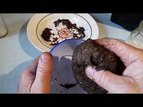 Видео: Это лучшая прикормка при ловли безмотылкой и не только!!!