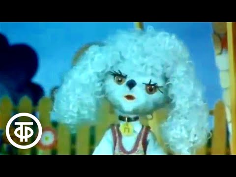 Видео: Эх, ты, Тишка, Тишка... Мультфильм (1975)