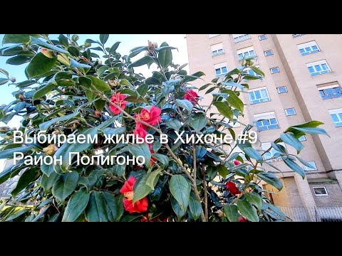 Видео: Выбираем жильё в Хихоне #9 #Полигоно #Хихон