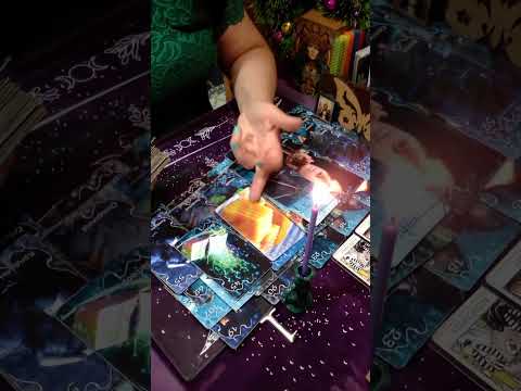 Видео: Не трогали бы Вас,сами бы целыми остались?