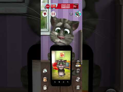 Видео: 26 июня 2024 г.